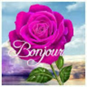 Meet your Posher, Anne